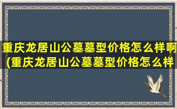 重庆龙居山公墓墓型价格怎么样啊(重庆龙居山公墓墓型价格怎么样呀)