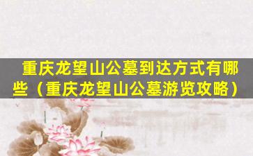 重庆龙望山公墓到达方式有哪些（重庆龙望山公墓游览攻略）