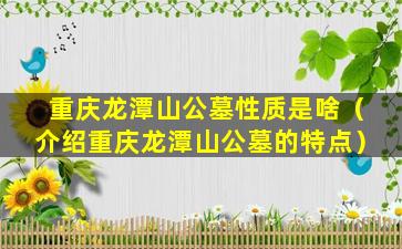 重庆龙潭山公墓性质是啥（介绍重庆龙潭山公墓的特点）