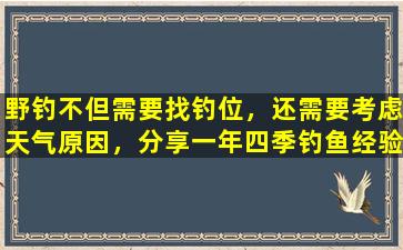 野钓不但需要找钓位，还需要考虑天气原因，分享一年四季钓鱼经验