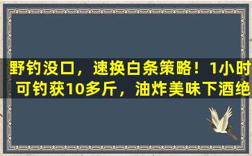 野钓没口，速换白条策略！1小时可钓获10多斤，油炸美味下酒绝配