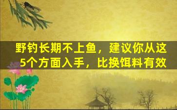 野钓长期不上鱼，建议你从这5个方面入手，比换饵料有效