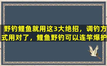 野钓鲤鱼就用这3大绝招，调钓方式用对了，鲤鱼野钓可以连竿爆护