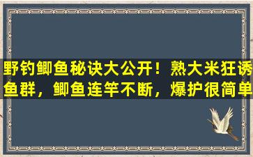 野钓鲫鱼秘诀大公开！熟大米狂诱鱼群，鲫鱼连竿不断，爆护很简单