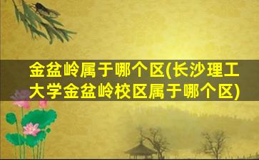 金盆岭属于哪个区(长沙理工大学金盆岭校区属于哪个区)
