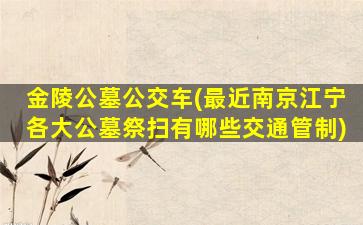 金陵公墓公交车(最近南京江宁各大公墓祭扫有哪些交通管制)