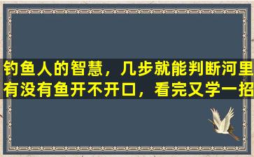 钓鱼人的智慧，几步就能判断河里有没有鱼开不开口，看完又学一招