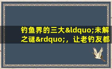 钓鱼界的三大“未解之谜”，让老钓友都难以捉摸，至今无人能解