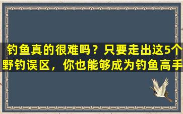 钓鱼真的很难吗？只要走出这5个野钓误区，你也能够成为钓鱼高手