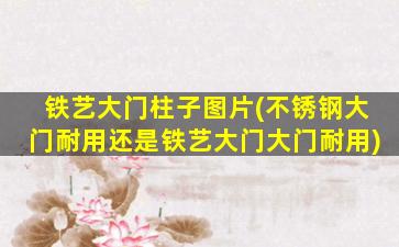 铁艺大门柱子图片(不锈钢大门耐用还是铁艺大门大门耐用)