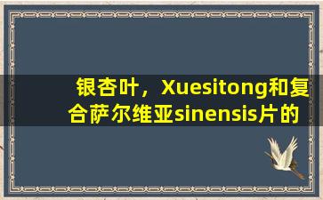 银杏叶，Xuesitong和复合萨尔维亚sinensis片的药理作用是什么？哪些疾病可以治疗