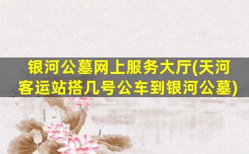 银河公墓网上服务大厅(天河客运站搭几号公车到银河公墓)