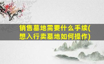 销售墓地需要什么手续(想入行卖墓地如何操作)