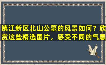 镇江新区北山公墓的风景如何？欣赏这些精选图片，感受不同的气息