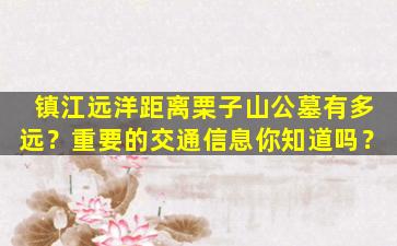 镇江远洋距离栗子山公墓有多远？重要的交通信息你知道吗？