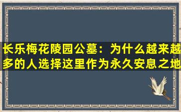长乐梅花陵园公墓：为什么越来越多的人选择这里作为永久安息之地？