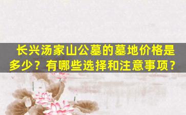 长兴汤家山公墓的墓地价格是多少？有哪些选择和注意事项？