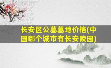 长安区公墓墓地价格(中国哪个城市有长安陵园)