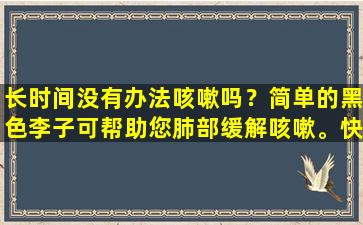 长时间没有办法咳嗽吗？简单的黑色李子可帮助您肺部缓解咳嗽。快速学习
