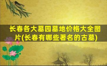 长春各大墓园墓地价格大全图片(长春有哪些著名的古墓)