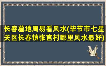 长春墓地周易看风水(毕节市七星关区长春镇张官村哪里风水最好)