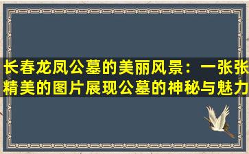 长春龙凤公墓的美丽风景：一张张精美的图片展现公墓的神秘与魅力
