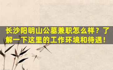 长沙阳明山公墓兼职怎么样？了解一下这里的工作环境和待遇！