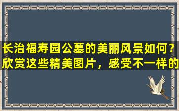 长治福寿园公墓的美丽风景如何？欣赏这些精美图片，感受不一样的公墓文化！