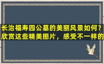 长治福寿园公墓的美丽风景如何？欣赏这些精美图片，感受不一样的公墓文化！