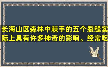 长海山区森林中棘手的五个裂缝实际上具有许多神奇的影响。经常吃