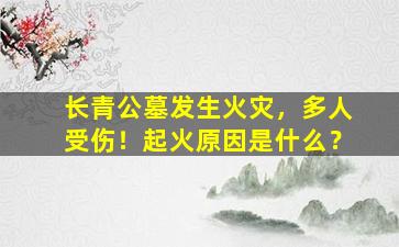 长青公墓发生火灾，多人受伤！起火原因是什么？