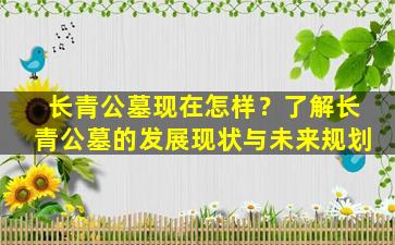 长青公墓现在怎样？了解长青公墓的发展现状与未来规划