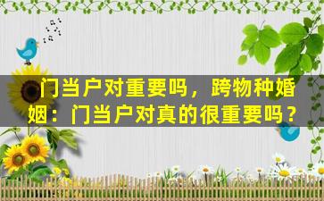 门当户对重要吗，跨物种婚姻：门当户对真的很重要吗？