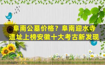 阜南公墓价格？阜南迎水寺遗址上榜安徽十大考古新发现