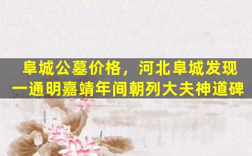 阜城公墓价格，河北阜城发现一通明嘉靖年间朝列大夫神道碑