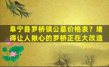 阜宁县罗桥镇公墓价格表？堵得让人揪心的罗桥正在大改造