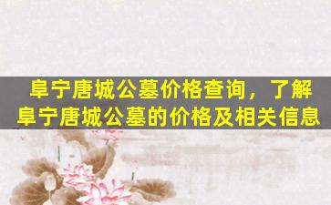 阜宁唐城公墓价格查询，了解阜宁唐城公墓的价格及相关信息