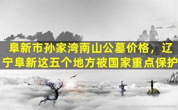 阜新市孙家湾南山公墓价格，辽宁阜新这五个地方被国家重点保护