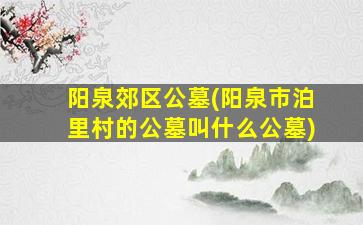 阳泉郊区公墓(阳泉市泊里村的公墓叫什么公墓)