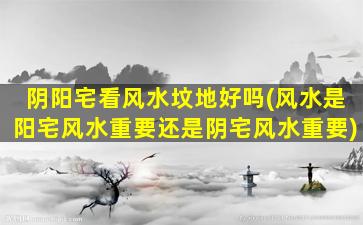 阴阳宅看风水坟地好吗(风水是阳宅风水重要还是阴宅风水重要)
