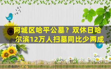阿城区哈平公墓？双休日哈尔滨12万人扫墓同比少两成