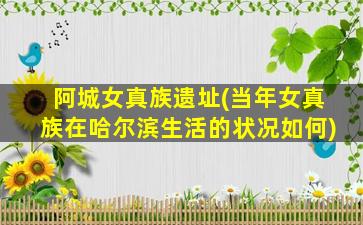 阿城女真族遗址(当年女真族在哈尔滨生活的状况如何)
