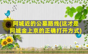 阿城近的公墓路线(这才是阿城金上京的正确打开方式)