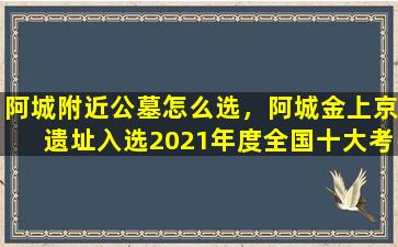 阿城附近公墓怎么选，阿城金上京遗址入选2021年度全国十大考古新发现初评