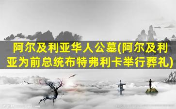 阿尔及利亚华人公墓(阿尔及利亚为前总统布特弗利卡举行葬礼)