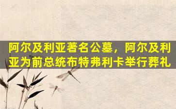 阿尔及利亚著名公墓，阿尔及利亚为前总统布特弗利卡举行葬礼