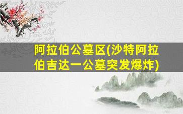 阿拉伯公墓区(沙特阿拉伯吉达一公墓突发爆炸)