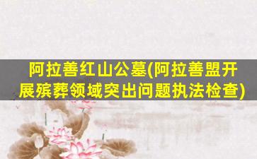阿拉善红山公墓(阿拉善盟开展殡葬领域突出问题执法检查)