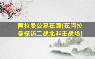 阿拉曼公墓在哪(在阿拉曼探访二战北非主战场)