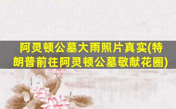 阿灵顿公墓大雨照片真实(特朗普前往阿灵顿公墓敬献花圈)